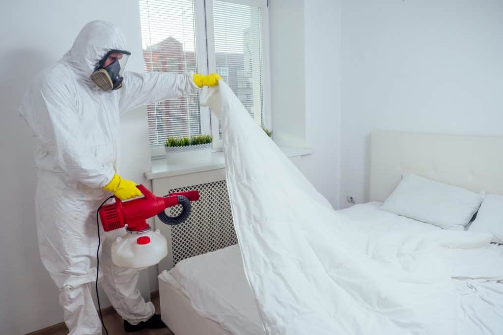 Arrow Pest Service expert performing a heat treatment