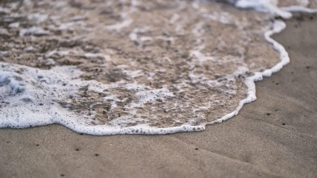 Sea foam washing onto wet sand