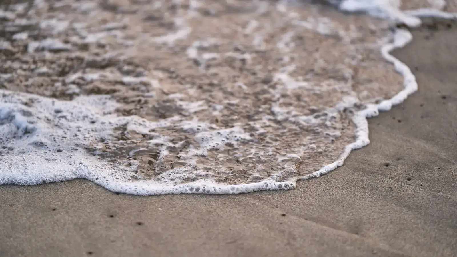 Sea foam washing onto wet sand
